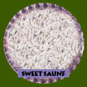Sweet Saunf